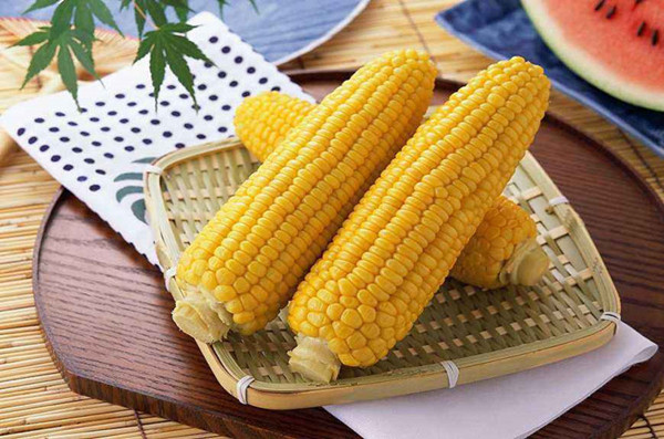 玉米